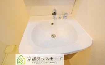 シャンプードレッサー