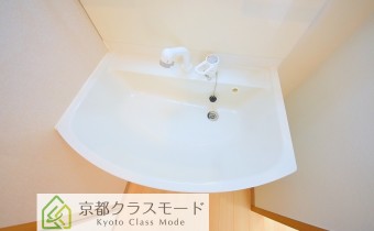 シャンプードレッサー