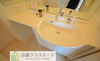 シャンプードレッサー