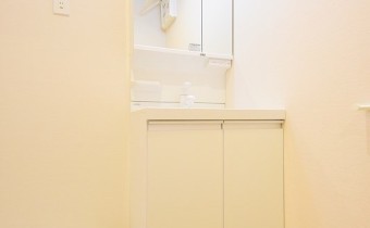 シャンプードレッサー