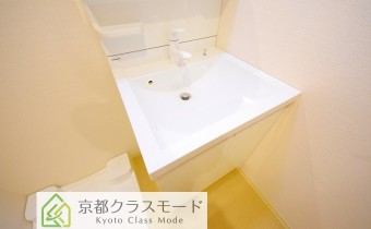シャンプードレッサー