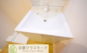 シャンプードレッサー