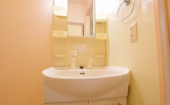 シャンプードレッサー※同ハイツ別タイプの写真です