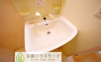 シャンプードレッサー※同ハイツ別タイプの写真です