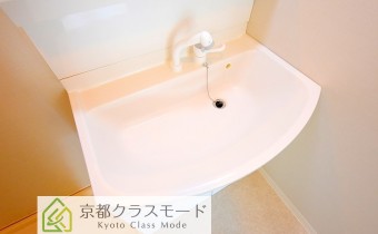 シャンプードレッサー