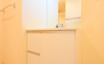 シャンプードレッサー
