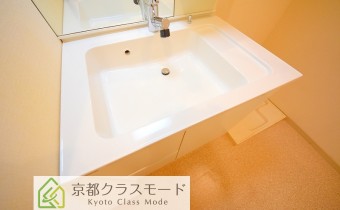 シャンプードレッサー