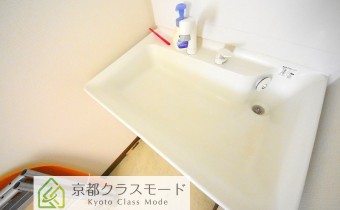 シャンプードレッサー