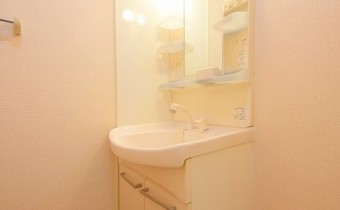 シャンプードレッサー※反転タイプの写真です