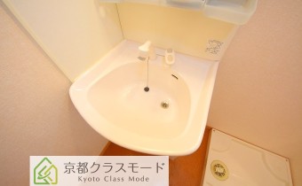 シャンプードレッサー※反転タイプの写真です