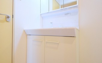 シャンプードレッサー