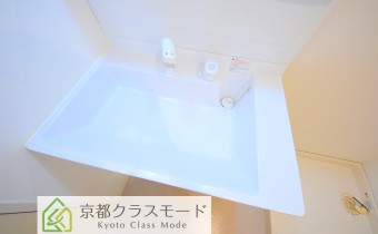 シャンプードレッサー