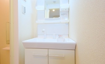 シャンプードレッサー
