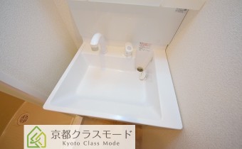 シャンプードレッサー