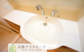 シャンプードレッサー