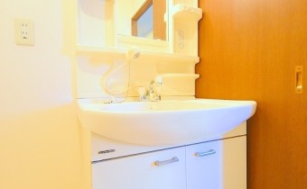 シャンプードレッサー