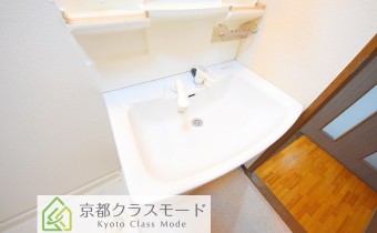 シャンプードレッサー