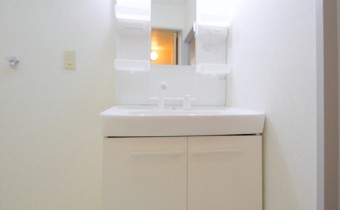 シャンプードレッサー