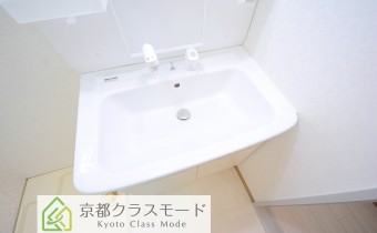 シャンプードレッサー
