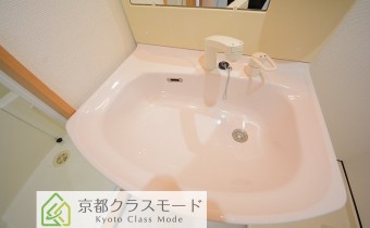 シャンプードレッサー