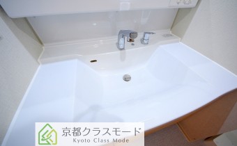 シャンプードレッサー