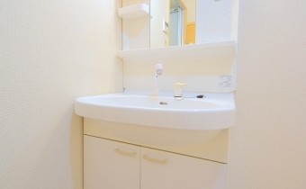 シャンプードレッサー