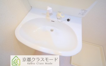 シャンプードレッサー