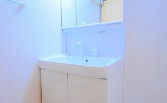 シャンプードレッサー