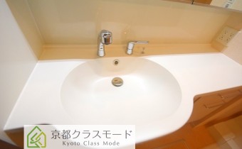 シャンプードレッサー