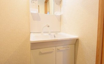 シャンプードレッサー