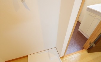 室内洗濯機置場