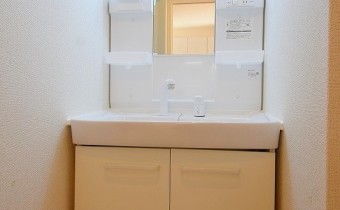 シャンプードレッサー※同ハイツ別タイプの写真です