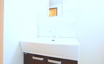 シャンプードレッサー