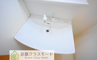 シャンプードレッサー