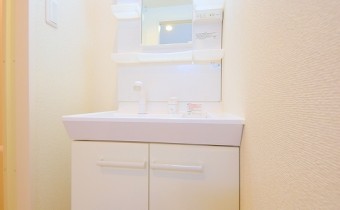 シャンプードレッサー