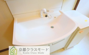 シャンプードレッサー