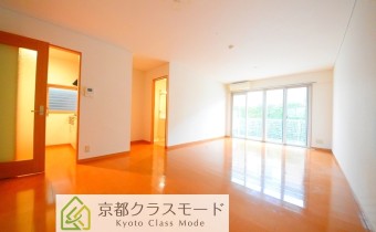 室内広々17.5帖♪「南向き」で日当たり良好！
