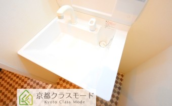 シャンプードレッサー
