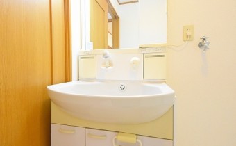シャンプードレッサー