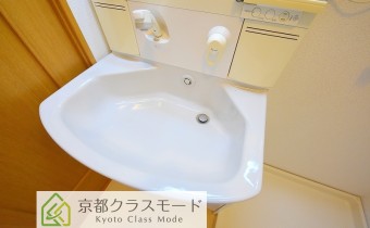 シャンプードレッサー