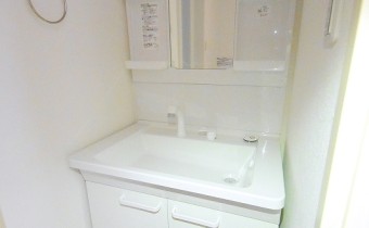 シャンプードレッサー