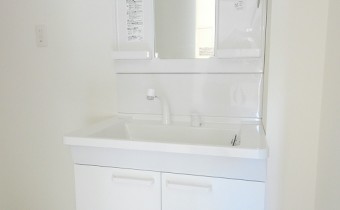 シャンプードレッサー