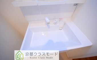 シャンプードレッサー