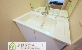 シャンプードレッサー