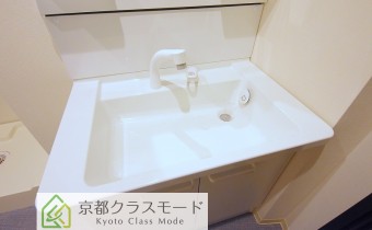 シャンプードレッサー