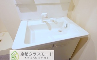 シャンプードレッサー