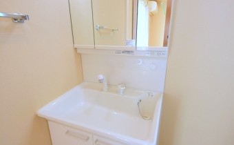 シャンプードレッサー