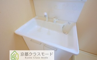 シャンプードレッサー