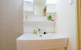 シャンプードレッサー