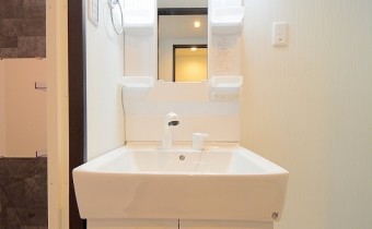シャンプードレッサー